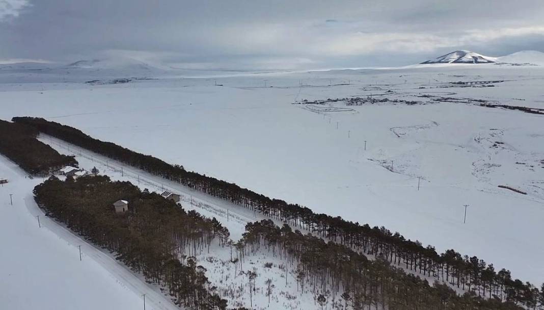Karlar kraliçesinin saklı bahçesi gibi! Bozkırda yükselen yeşil cennet 5